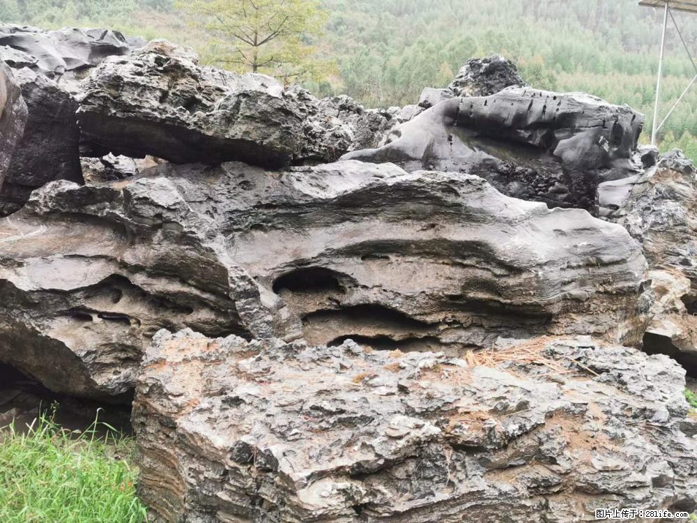 风景石、假山石大量有货，有需要的欢迎联系 - 新手上路 - 阿拉尔生活社区 - 阿拉尔28生活网 ale.28life.net