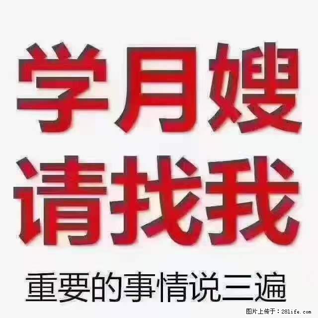 为什么要学习月嫂，育婴师？ - 新手上路 - 阿拉尔生活社区 - 阿拉尔28生活网 ale.28life.net