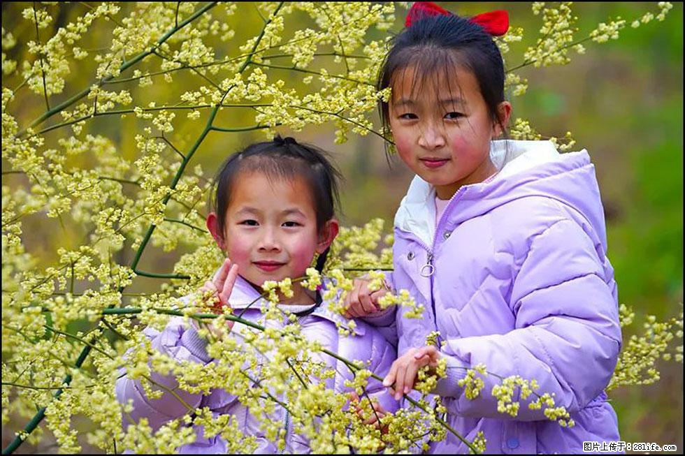 【春天，广西桂林灌阳县向您发出邀请！】米珠山前有片山苍子花在飘香 - 游山玩水 - 阿拉尔生活社区 - 阿拉尔28生活网 ale.28life.net