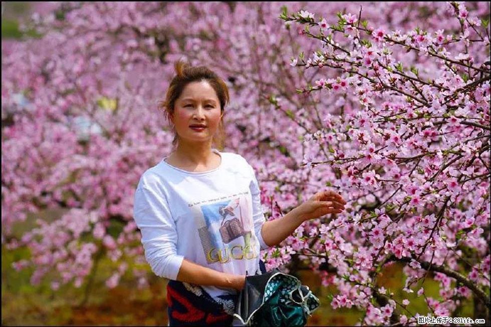【春天，广西桂林灌阳县向您发出邀请！】官庄村有个醉美的桃花园 - 游山玩水 - 阿拉尔生活社区 - 阿拉尔28生活网 ale.28life.net