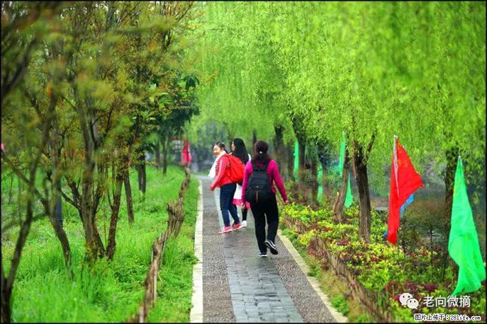 【春天,广西桂林灌阳县向您发出邀请!】江口老街又逢春 - 游山玩水 - 阿拉尔生活社区 - 阿拉尔28生活网 ale.28life.net