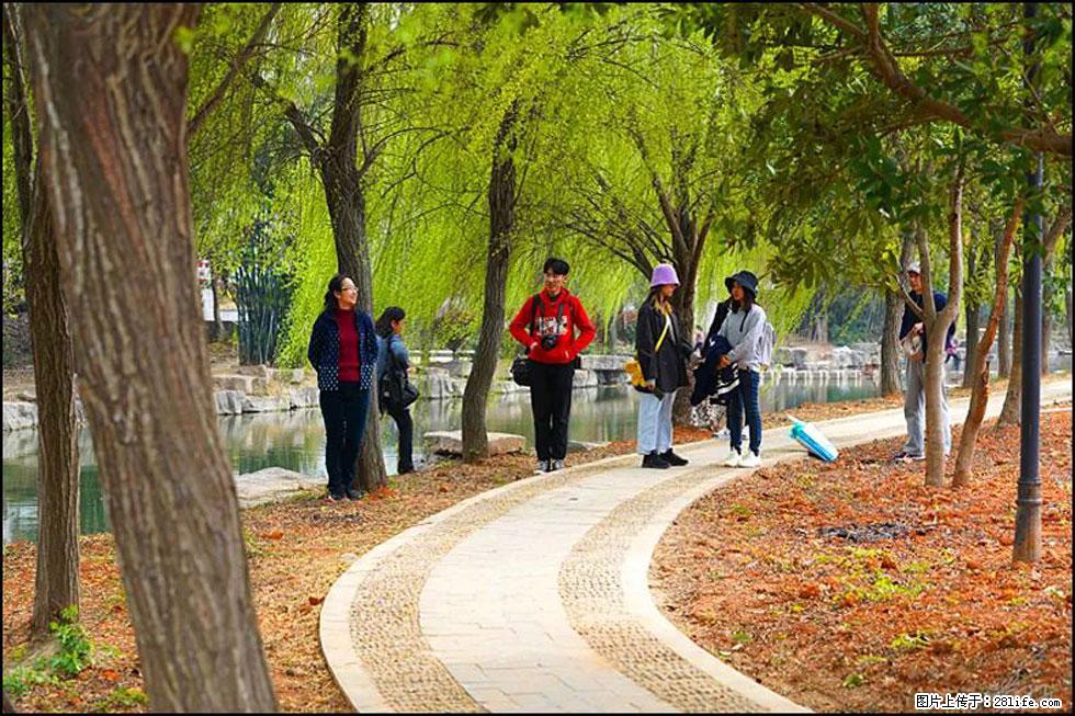 【春天,广西桂林灌阳县向您发出邀请!】江口老街又逢春 - 游山玩水 - 阿拉尔生活社区 - 阿拉尔28生活网 ale.28life.net