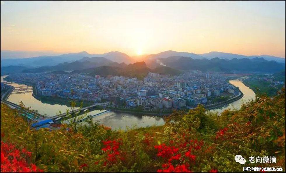 【春天，广西桂林灌阳县向您发出邀请！】登麒麟山，相约映山红 - 游山玩水 - 阿拉尔生活社区 - 阿拉尔28生活网 ale.28life.net
