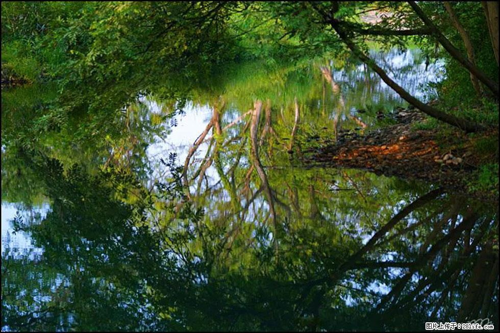 【春天，广西桂林灌阳县向您发出邀请！】熊家寨湿地公园 - 游山玩水 - 阿拉尔生活社区 - 阿拉尔28生活网 ale.28life.net