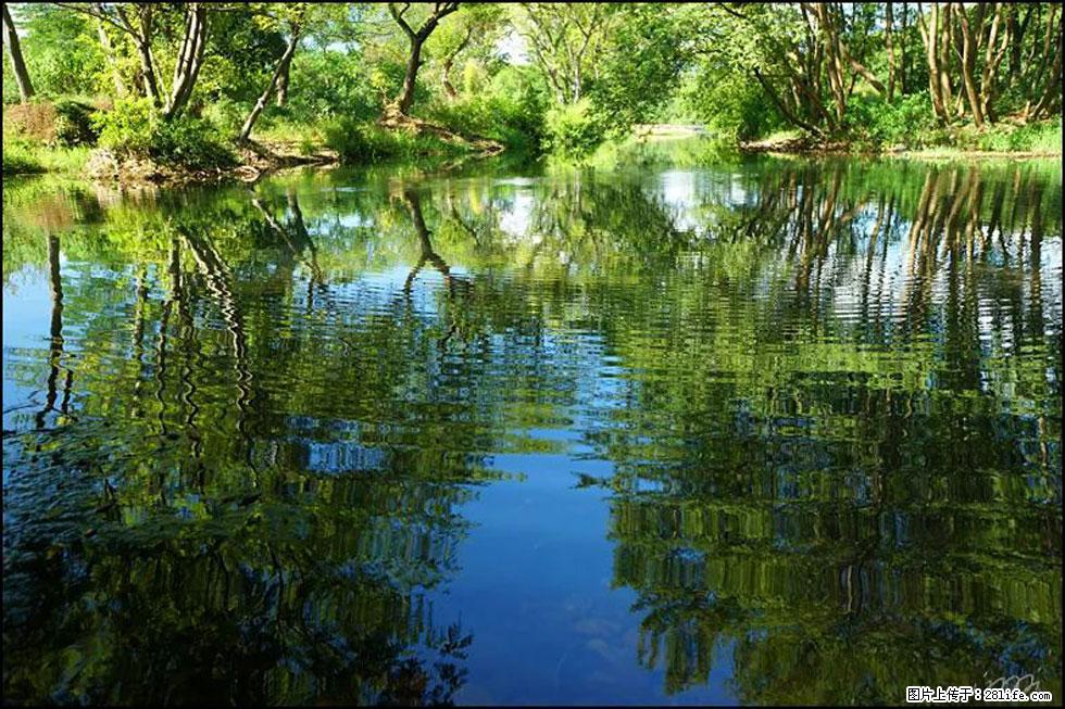 【春天，广西桂林灌阳县向您发出邀请！】熊家寨湿地公园 - 游山玩水 - 阿拉尔生活社区 - 阿拉尔28生活网 ale.28life.net