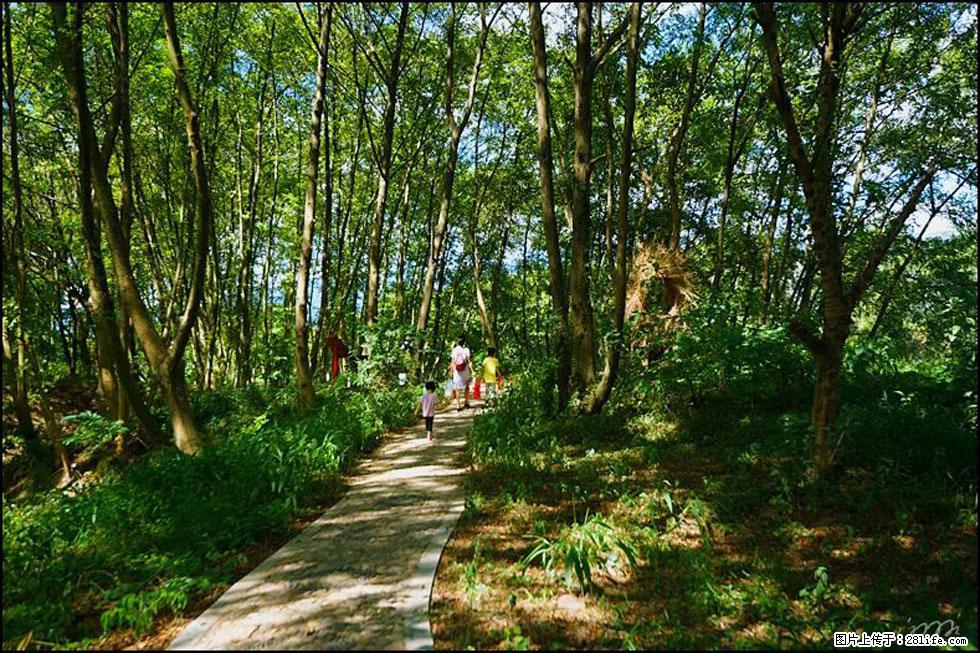 【春天，广西桂林灌阳县向您发出邀请！】熊家寨湿地公园 - 游山玩水 - 阿拉尔生活社区 - 阿拉尔28生活网 ale.28life.net