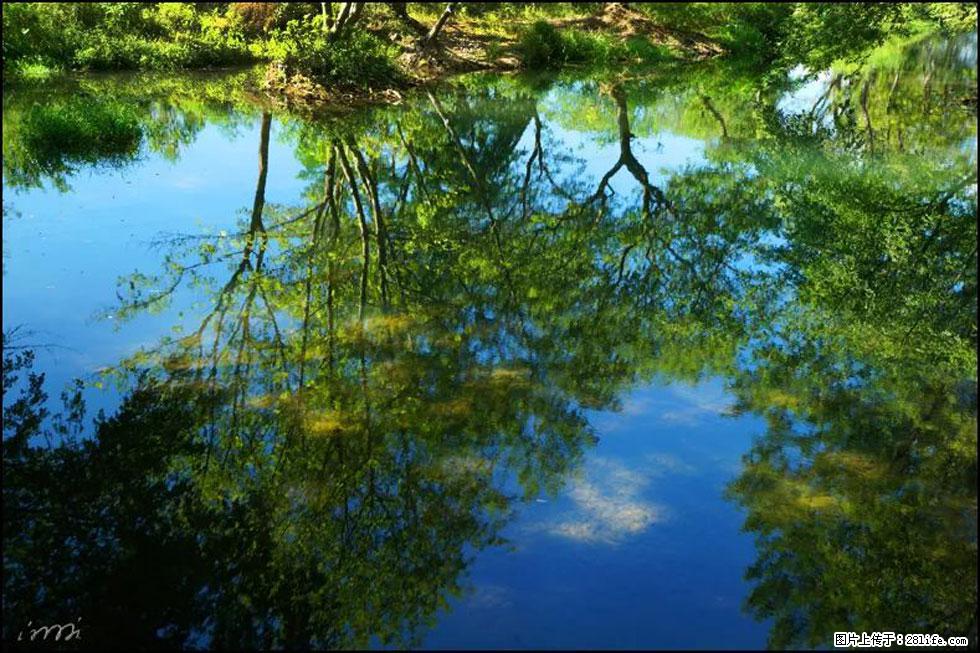 【春天，广西桂林灌阳县向您发出邀请！】熊家寨湿地公园 - 游山玩水 - 阿拉尔生活社区 - 阿拉尔28生活网 ale.28life.net