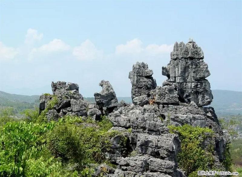 桂林旅游名城景点：灌阳文市石林 - 游山玩水 - 阿拉尔生活社区 - 阿拉尔28生活网 ale.28life.net