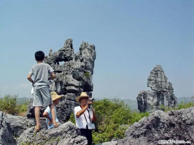 桂林旅游名城景点：灌阳文市石林 - 游山玩水 - 阿拉尔生活社区 - 阿拉尔28生活网 ale.28life.net