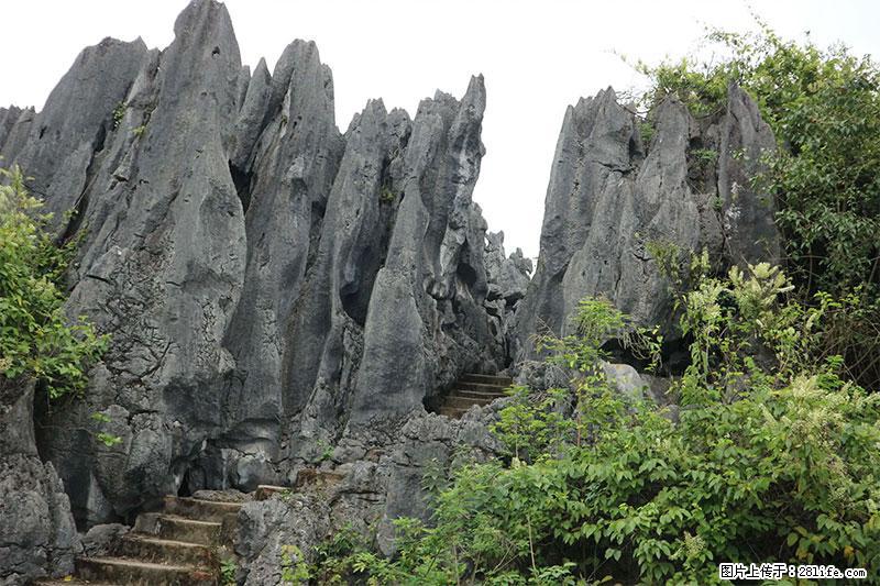 桂林旅游名城景点：灌阳文市石林 - 游山玩水 - 阿拉尔生活社区 - 阿拉尔28生活网 ale.28life.net