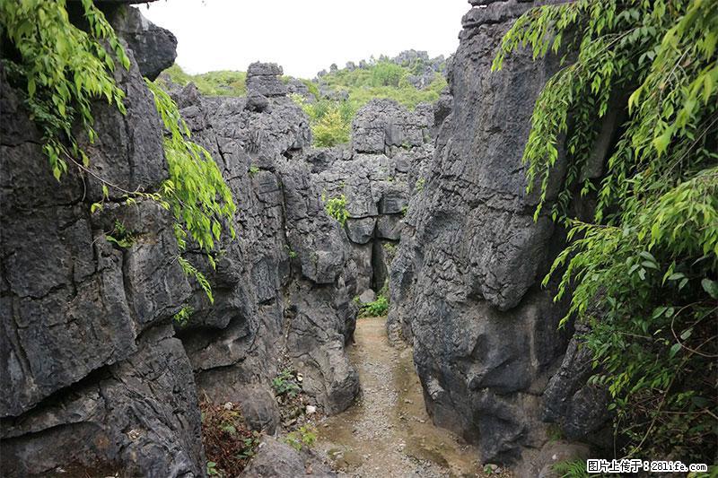 桂林旅游名城景点：灌阳文市石林 - 游山玩水 - 阿拉尔生活社区 - 阿拉尔28生活网 ale.28life.net
