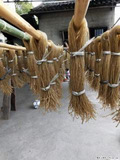 【灌阳正宗红薯粉】美女家里自己做的，干净卫生，假一赔十，价格合理，抢购电话：13737312895 - 阿拉尔28生活网 ale.28life.net