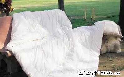 被子有异味？只要这样做，比晒太阳还强100倍！ - 家居生活 - 阿拉尔生活社区 - 阿拉尔28生活网 ale.28life.net
