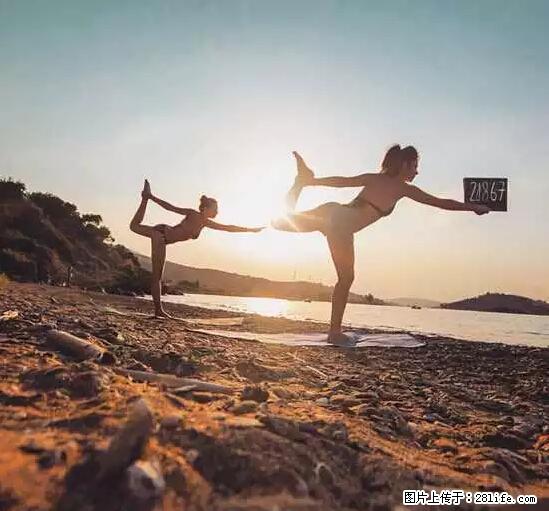 辞掉工作周游世界？现在他们在洗厕所…… - 游山玩水 - 阿拉尔生活社区 - 阿拉尔28生活网 ale.28life.net