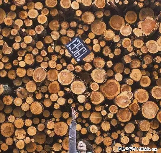 辞掉工作周游世界？现在他们在洗厕所…… - 游山玩水 - 阿拉尔生活社区 - 阿拉尔28生活网 ale.28life.net