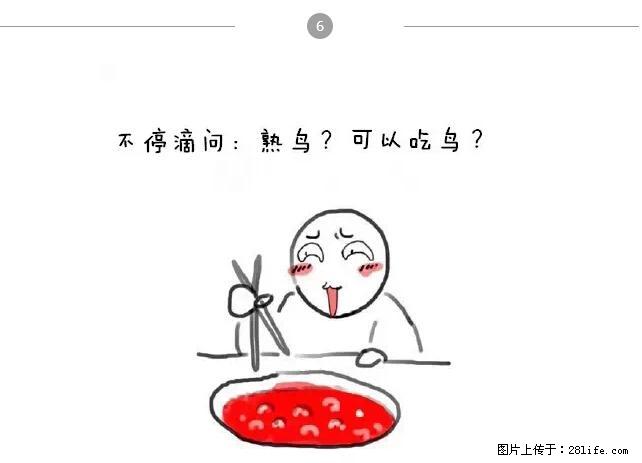 千万不要和这9种哈卵一起吃火锅！ - 美食天地 - 阿拉尔生活社区 - 阿拉尔28生活网 ale.28life.net