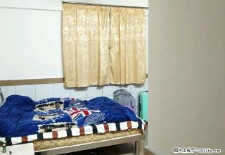 (单间出租)豪华装修 1室1厅1卫 - 阿拉尔28生活网 ale.28life.net