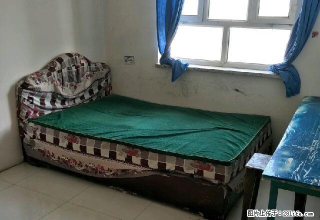 (单间出租)新苑小区 4室1厅1卫 男女不限 - 房屋出租 - 房屋租售 - 阿拉尔分类信息 - 阿拉尔28生活网 ale.28life.net