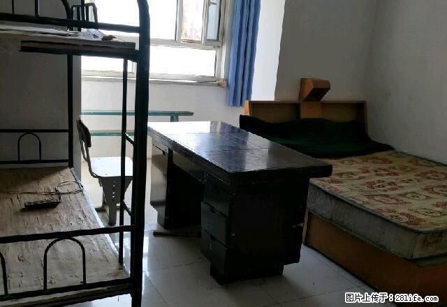 (单间出租)新苑小区 4室1厅1卫 男女不限 - 房屋出租 - 房屋租售 - 阿拉尔分类信息 - 阿拉尔28生活网 ale.28life.net