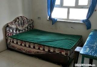 (单间出租)新苑小区 4室1厅1卫 男女不限 - 阿拉尔28生活网 ale.28life.net
