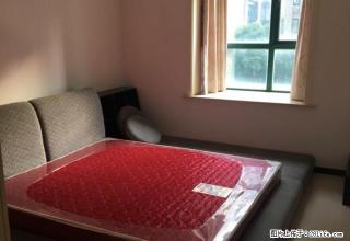 (单间出租)大同新村 1室1厅1卫 男女不限 - 阿拉尔28生活网 ale.28life.net