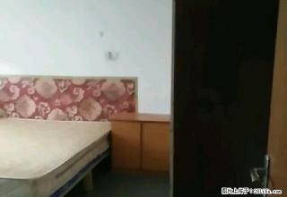(单间出租)锦硕苑二期 2室1厅1卫 男女不限 - 阿拉尔28生活网 ale.28life.net