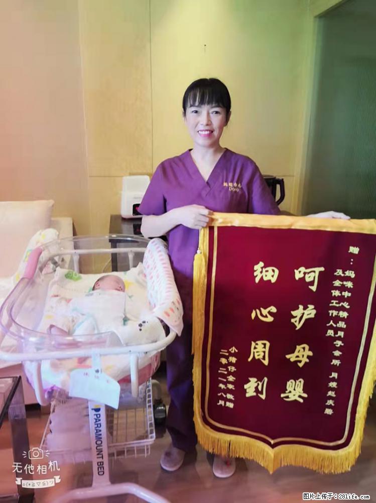 上海高端月子会所招新手月嫂，零基础带教，包吃住 - 职场交流 - 阿拉尔生活社区 - 阿拉尔28生活网 ale.28life.net