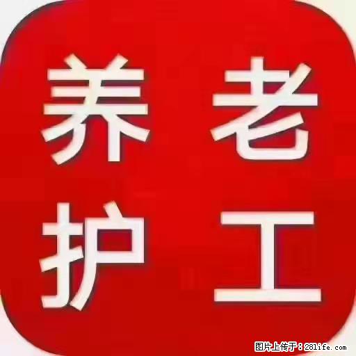 上海国企养老院，星级酒店环境，招聘养老护工 - 职场交流 - 阿拉尔生活社区 - 阿拉尔28生活网 ale.28life.net