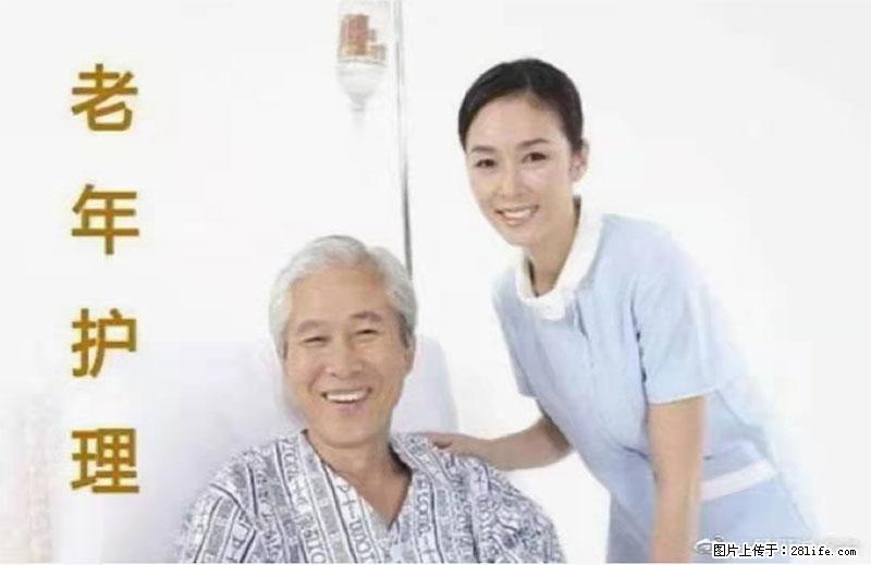 上海国企养老院，星级酒店环境，招聘养老护工 - 职场交流 - 阿拉尔生活社区 - 阿拉尔28生活网 ale.28life.net