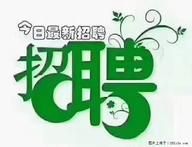 【招聘摄像师】待遇：试用期6000元/月，转正7000元/月+五险一金+餐补+节日福利+奖金 - 职场交流 - 阿拉尔生活社区 - 阿拉尔28生活网 ale.28life.net