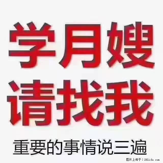 【招聘】月嫂，上海徐汇区 - 职场交流 - 阿拉尔生活社区 - 阿拉尔28生活网 ale.28life.net