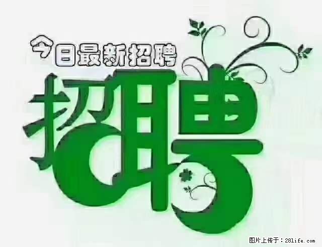 上海青浦区招仓管 - 职场交流 - 阿拉尔生活社区 - 阿拉尔28生活网 ale.28life.net