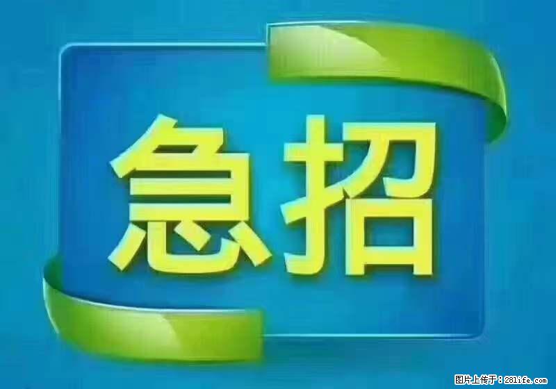 招出纳8000元/月，无证可以，要有相关经验，上海五险一金，包住，包工作餐，做六休一。 - 职场交流 - 阿拉尔生活社区 - 阿拉尔28生活网 ale.28life.net
