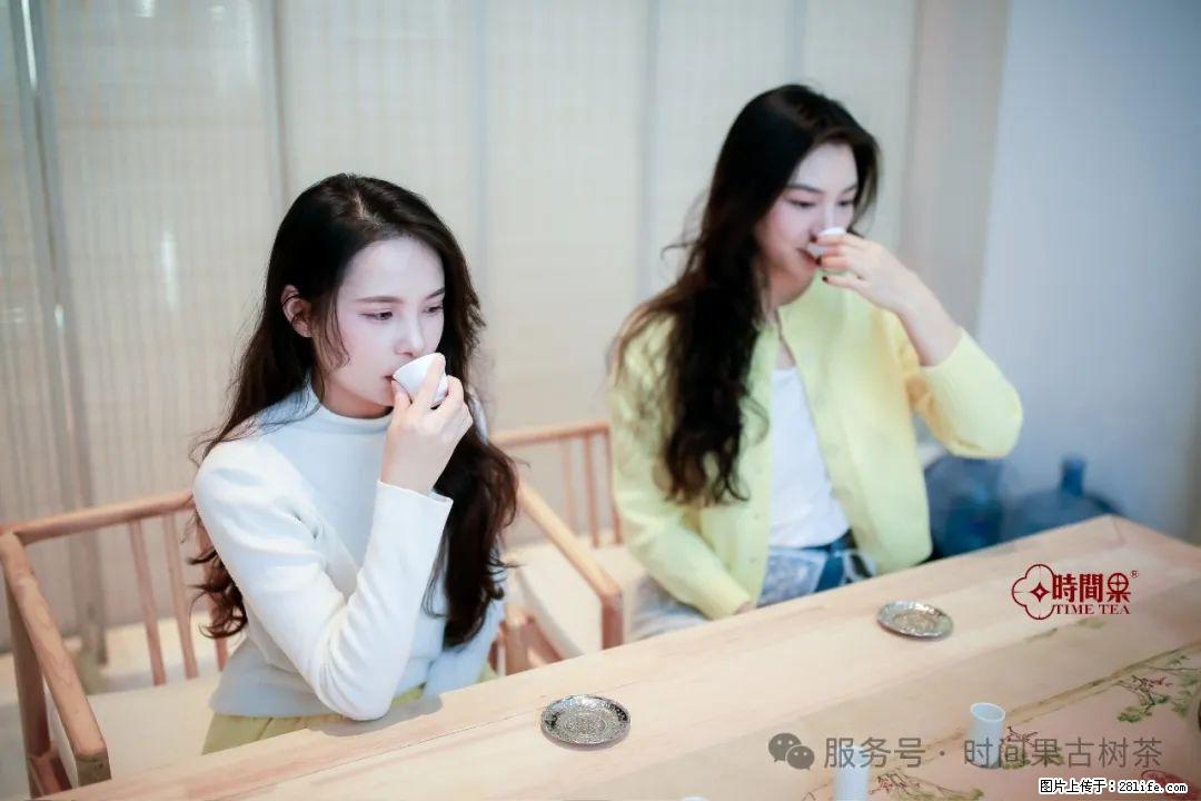 时间果百年古树龙珠普洱生茶 - 购物交流 - 阿拉尔生活社区 - 阿拉尔28生活网 ale.28life.net