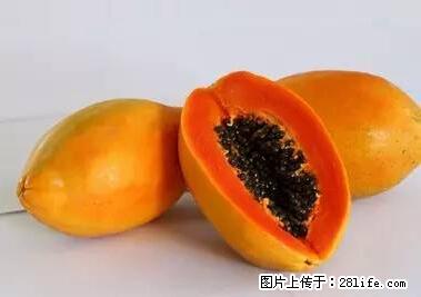 晕车、脚气、牙齿变黄、皮肤粗糙？学会这些三分钟搞定！ - 阿拉尔生活资讯 - 阿拉尔28生活网 ale.28life.net