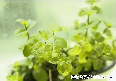 晕车、脚气、牙齿变黄、皮肤粗糙？学会这些三分钟搞定！ - 阿拉尔生活资讯 - 阿拉尔28生活网 ale.28life.net