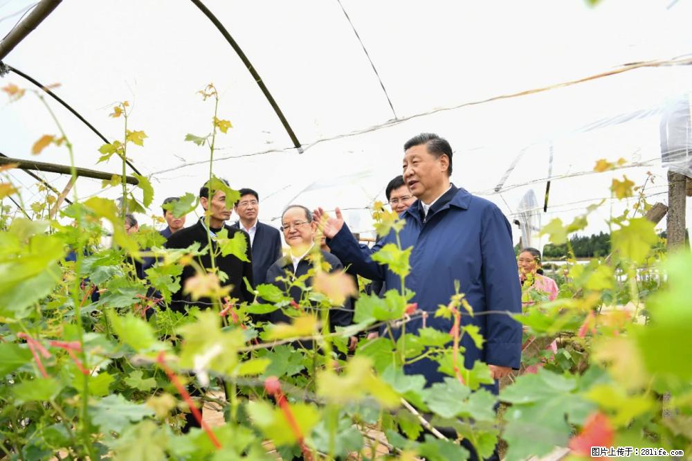 习近平赴广西考察调研 - 阿拉尔生活资讯 - 阿拉尔28生活网 ale.28life.net