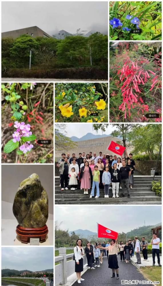 “粤灌文化 美好生活”油茶文化主题活动在广东深圳成功举办 - 阿拉尔生活资讯 - 阿拉尔28生活网 ale.28life.net