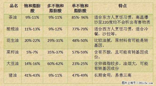 揭秘茶油的5大核心营养成分！被称为人体健康的“守护盾”！ - 阿拉尔生活资讯 - 阿拉尔28生活网 ale.28life.net