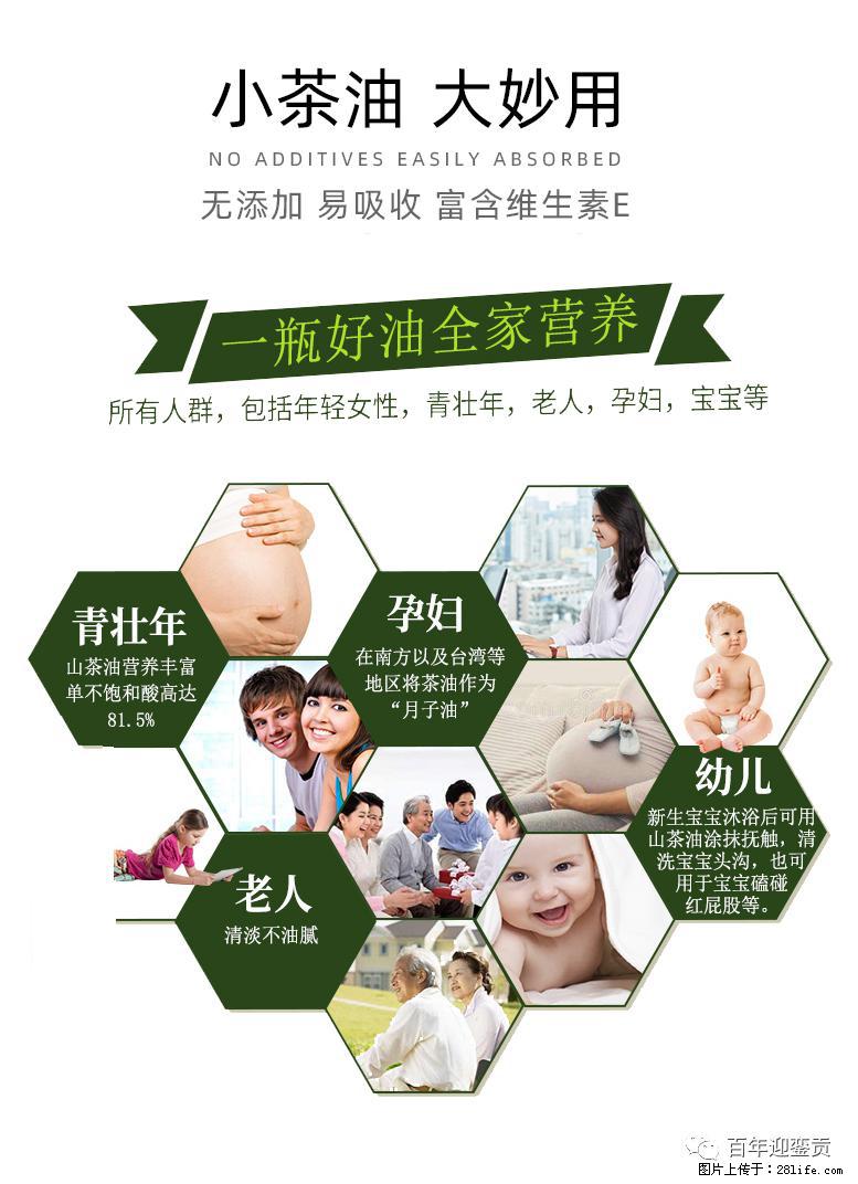 世界没有真相，只有认知，最好的食用油是中国的山茶油！ - 阿拉尔生活资讯 - 阿拉尔28生活网 ale.28life.net