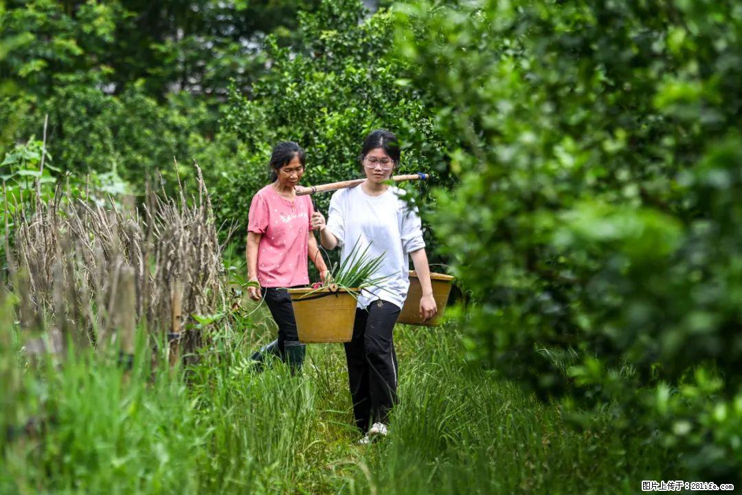 全网追的“扁担女孩”，找了一份暑假工，时薪12元 - 阿拉尔生活资讯 - 阿拉尔28生活网 ale.28life.net