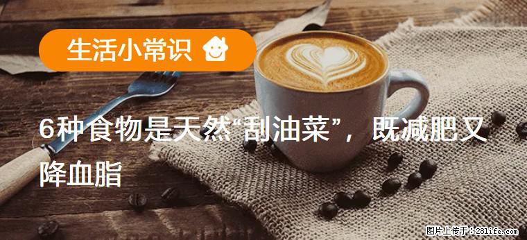 【生活小常识】6种食物是天然“刮油菜”，既减肥又降血脂 - 阿拉尔生活资讯 - 阿拉尔28生活网 ale.28life.net