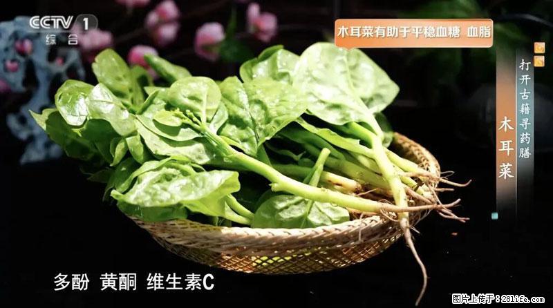 比牛奶补钙还厉害！凉血解毒、稳血糖...这菜冬天必吃，很多人却当草 - 阿拉尔生活资讯 - 阿拉尔28生活网 ale.28life.net