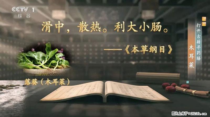 比牛奶补钙还厉害！凉血解毒、稳血糖...这菜冬天必吃，很多人却当草 - 阿拉尔生活资讯 - 阿拉尔28生活网 ale.28life.net