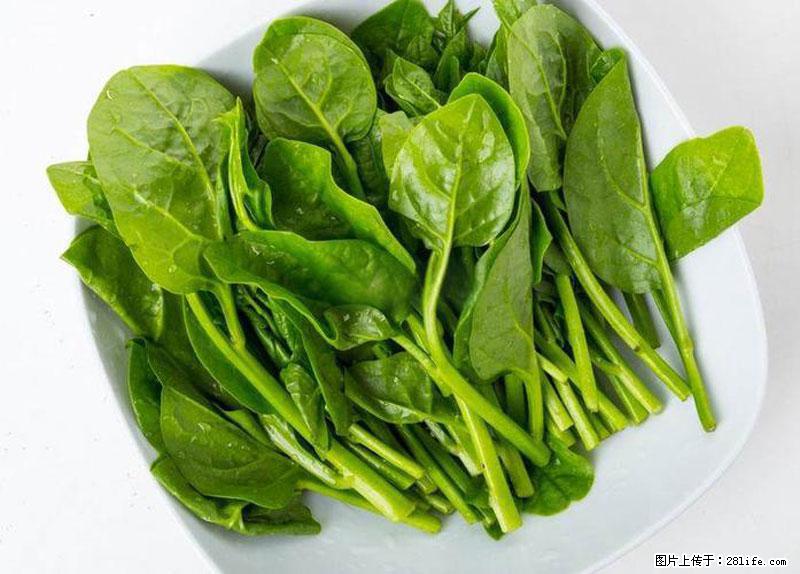 这些蔬菜是“天然钙片”,这6种被医生重点推荐 - 阿拉尔生活资讯 - 阿拉尔28生活网 ale.28life.net