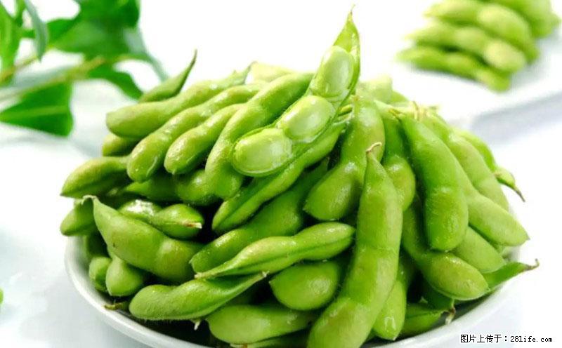 这些蔬菜是“天然钙片”,这6种被医生重点推荐 - 阿拉尔生活资讯 - 阿拉尔28生活网 ale.28life.net