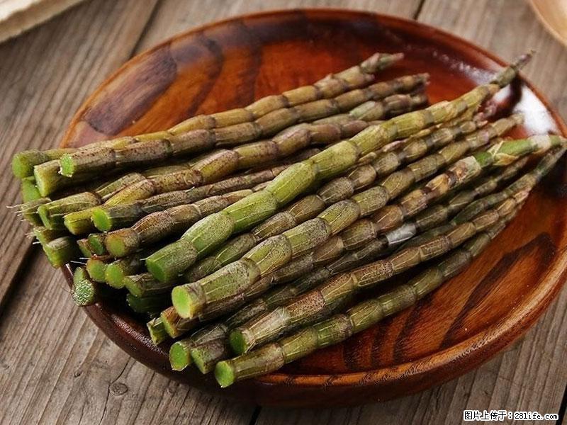 铁皮石斛的作用与功能主治 - 阿拉尔生活资讯 - 阿拉尔28生活网 ale.28life.net